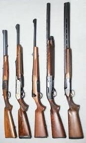 Armes de chasse